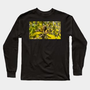 Autumn yellow leaves in sunny weather Long Sleeve T-Shirt